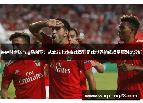 鲁伊科斯塔与迪马利亚：从本菲卡传奇球员到足球世界的璀璨星辰对比分析