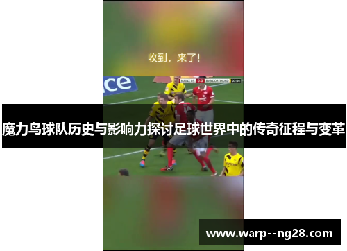 魔力鸟球队历史与影响力探讨足球世界中的传奇征程与变革