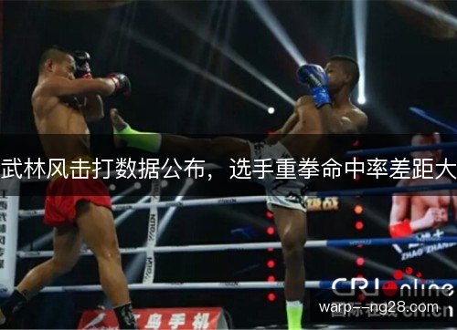武林风击打数据公布,选手重拳命中率差距大 武林风击打数据公布,选手重拳命中率差距大