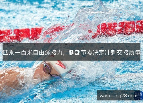 四乘一百米自由泳接力,腿部节奏决定冲刺交接质量 四乘一百米自由泳接力,腿部节奏决定冲刺交接质量